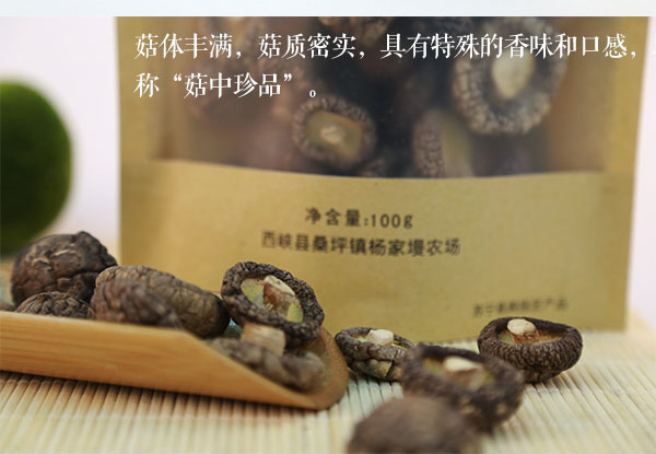 未标题-1_02.jpg