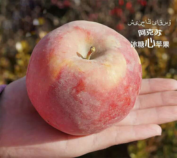 未标题-1_04.jpg