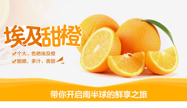 埃及橙图.jpg