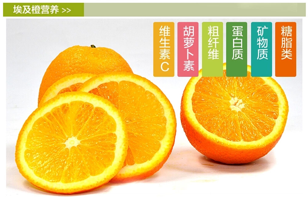 埃及橙.jpg