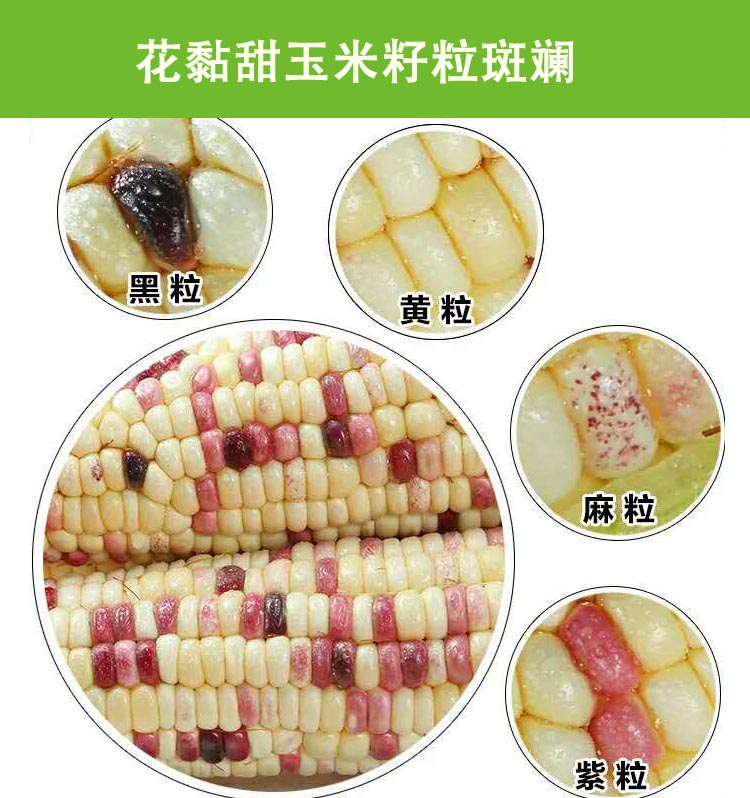 2拷贝 拷贝.jpg