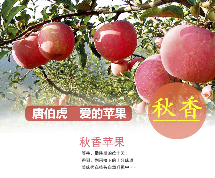 1500363614822055163 拷贝.jpg