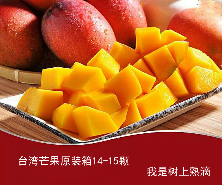 451381371475753415 拷贝.jpg