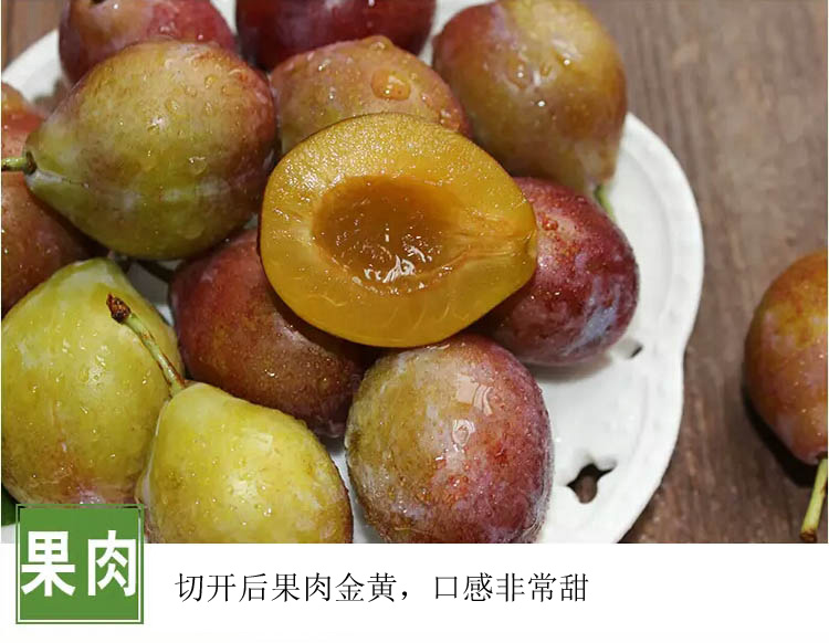 ChEi2VlofieAA-GlAAGd95OagWw50900 拷贝.jpg