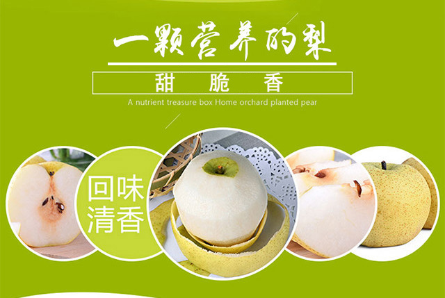 01 拷贝.jpg