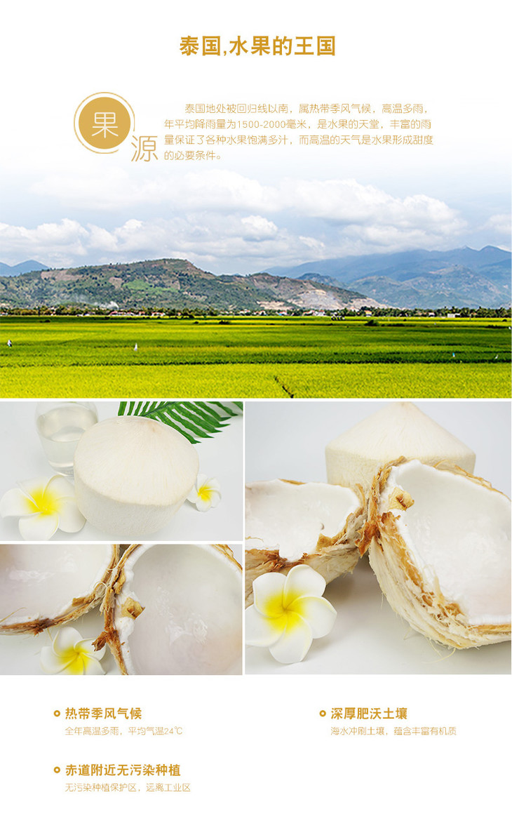 香椰4.jpg