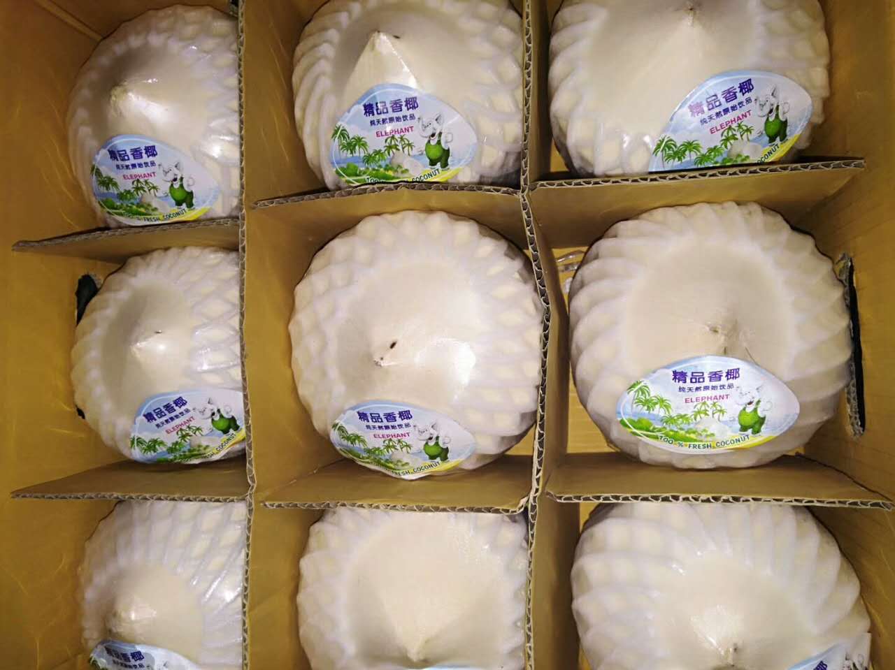 111179411302283910.jpg