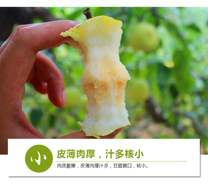 果丞4.jpg