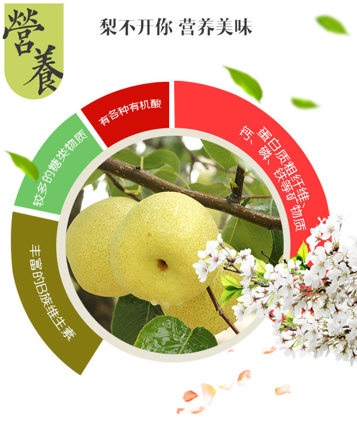 果丞6.jpg