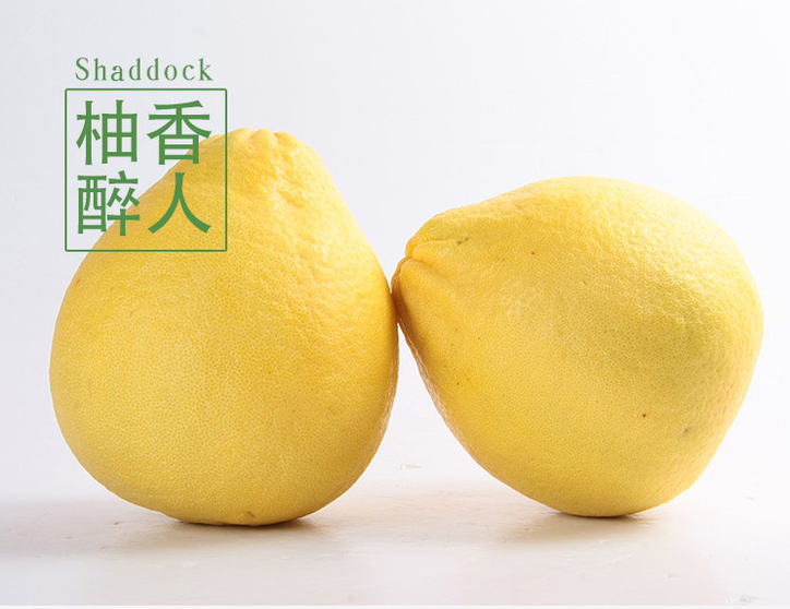 白6.png