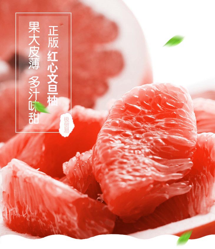 00 拷贝.jpg