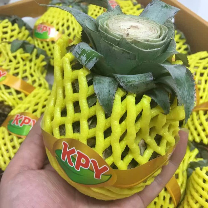 kpy.jpg