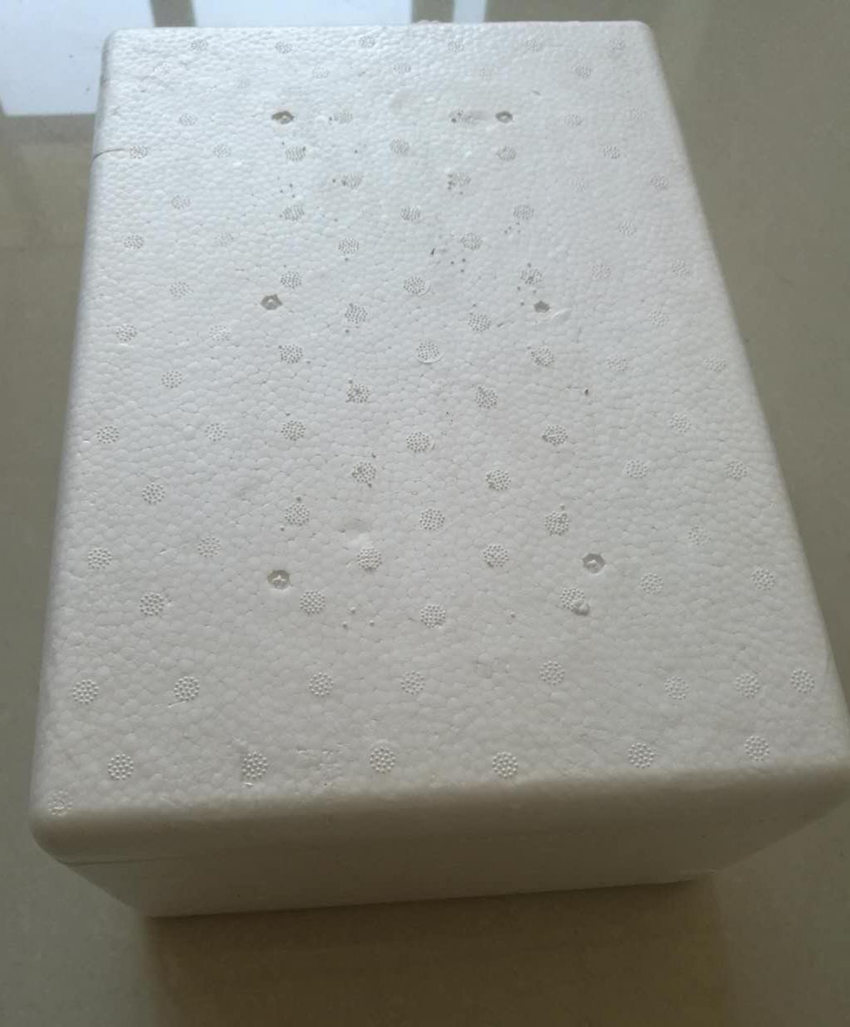 泡沫箱.jpg
