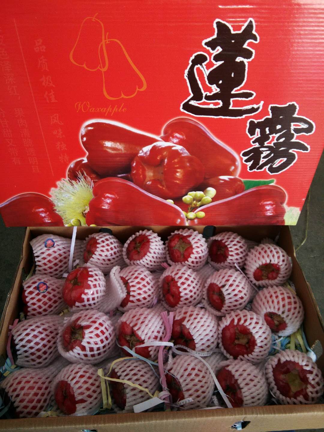 1512093773737050683.jpg 莲雾.jpg