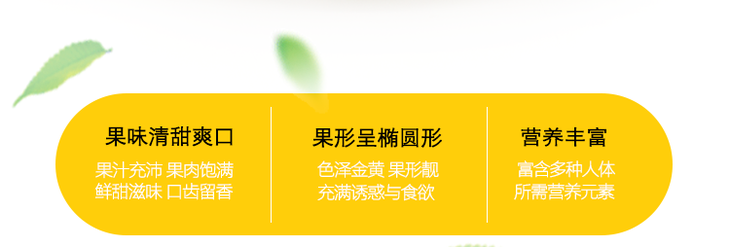微信图片_20171219110541.png