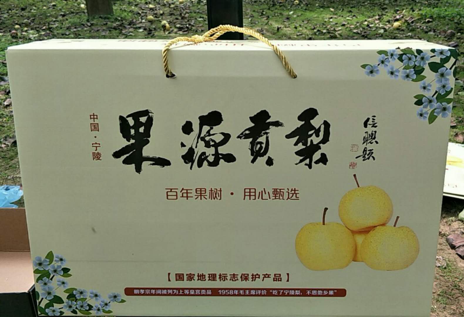 1514905660745072676.jpg 微信图片_20171117123652.jpg