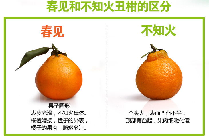 1517455949960010229.jpg 02_看图王.jpg