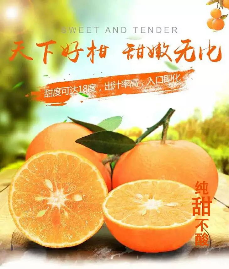 Fp58J9gwLgZdPbcwkFPszYRlhPg3_看图王.web.jpg
