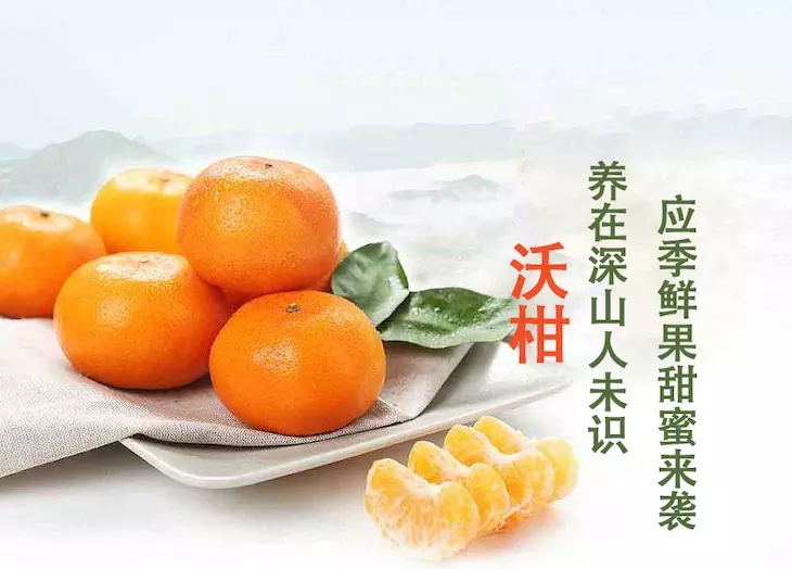 Fn0VZb5ST7oJKvGUlCcgodjbNihX_看图王.web.jpg