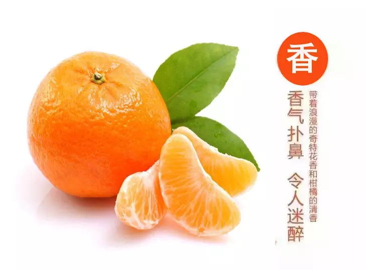 Fk62knmn0c_0HVx50Rbnqs86dp02_看图王.web.jpg