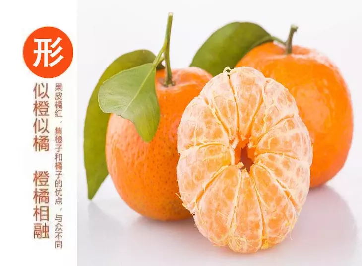 FjChjzqLGbSyAu9GFG2aCf07YvaZ_看图王.web.jpg