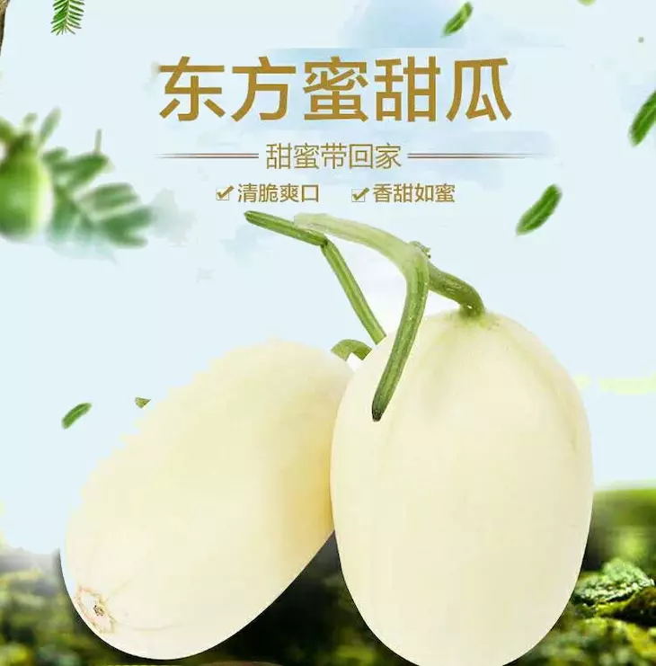 1_看图王.web.jpg