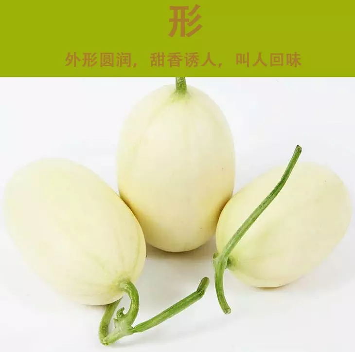 3_看图王.web.jpg