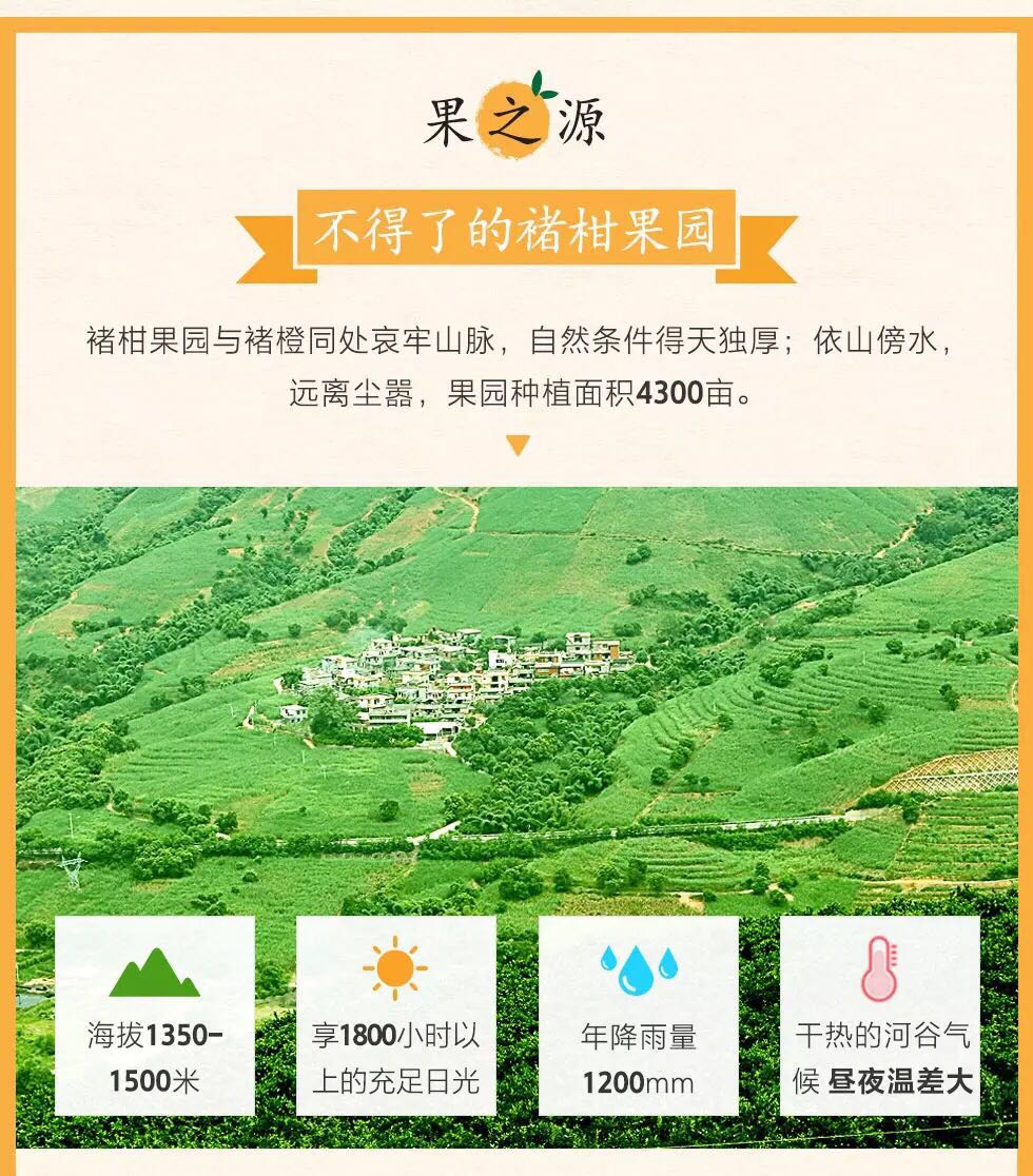 44.jpg