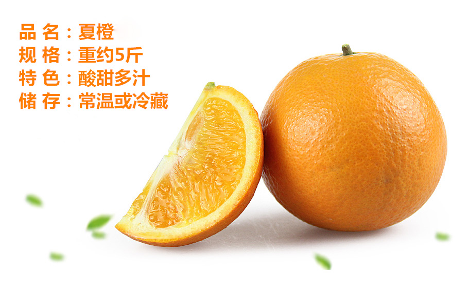 图2_副本 拷贝.jpg