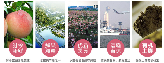4500886a576cb4558f5a8c10fd3f42e.png
