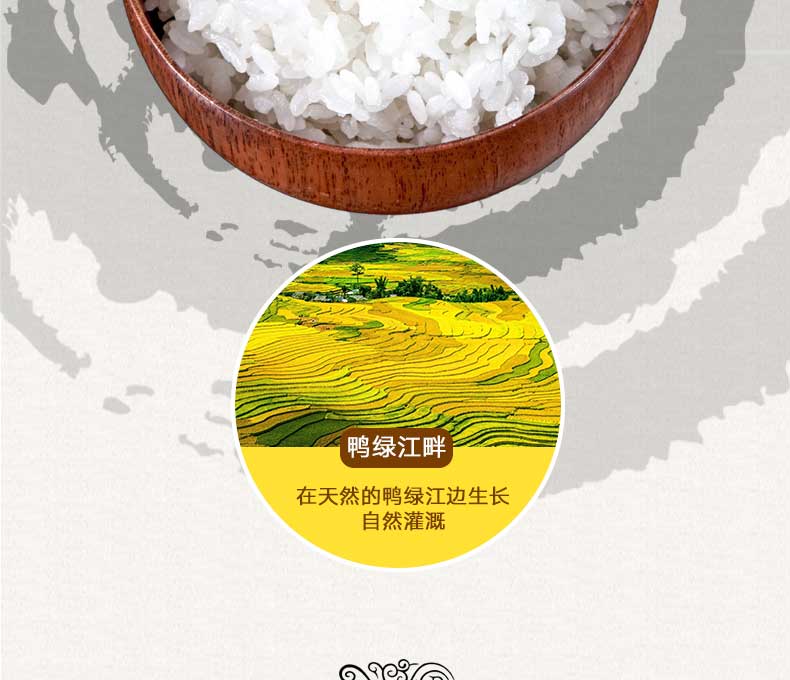 大米介绍12.jpg