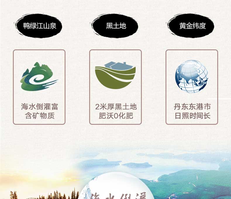 大米介绍6.jpg