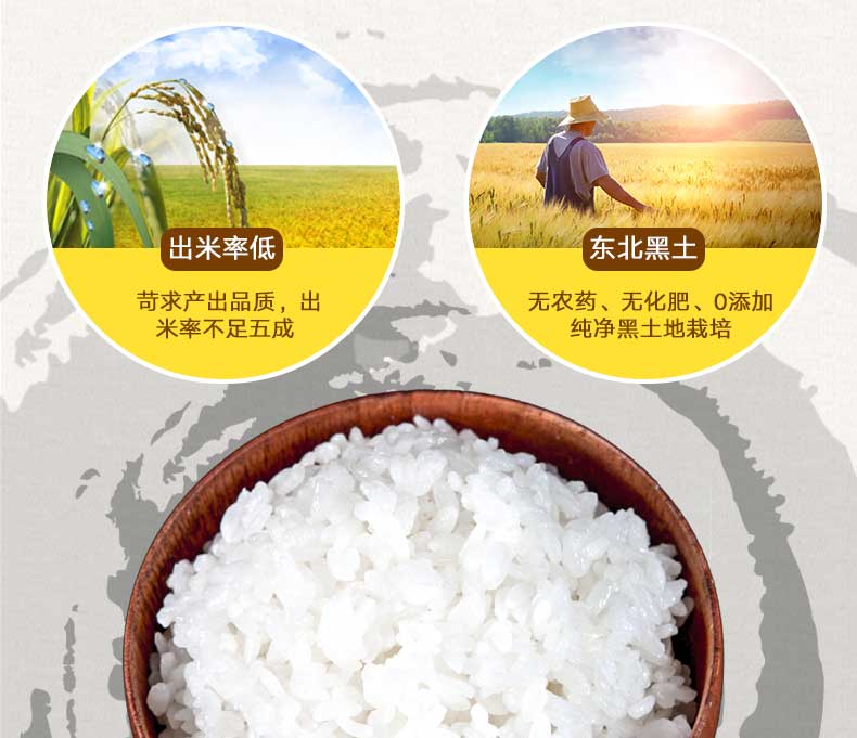 大米介绍11.jpg