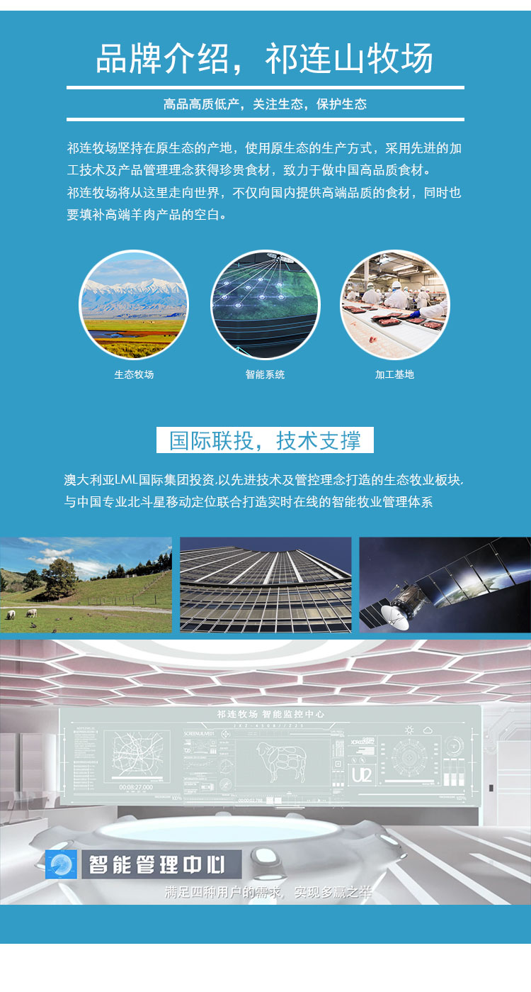 精选羊肉_03.jpg