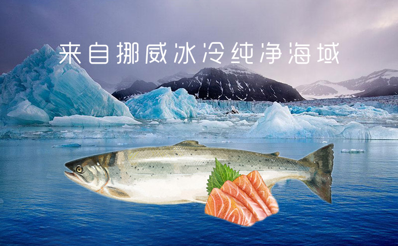 swy01.jpg