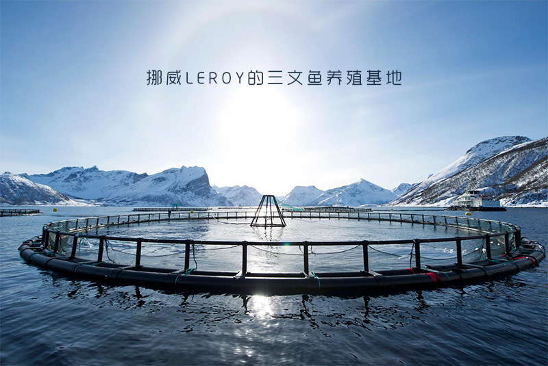 swy05.jpg