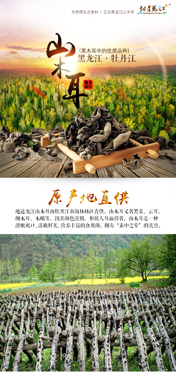 山木耳-详情图01.jpg