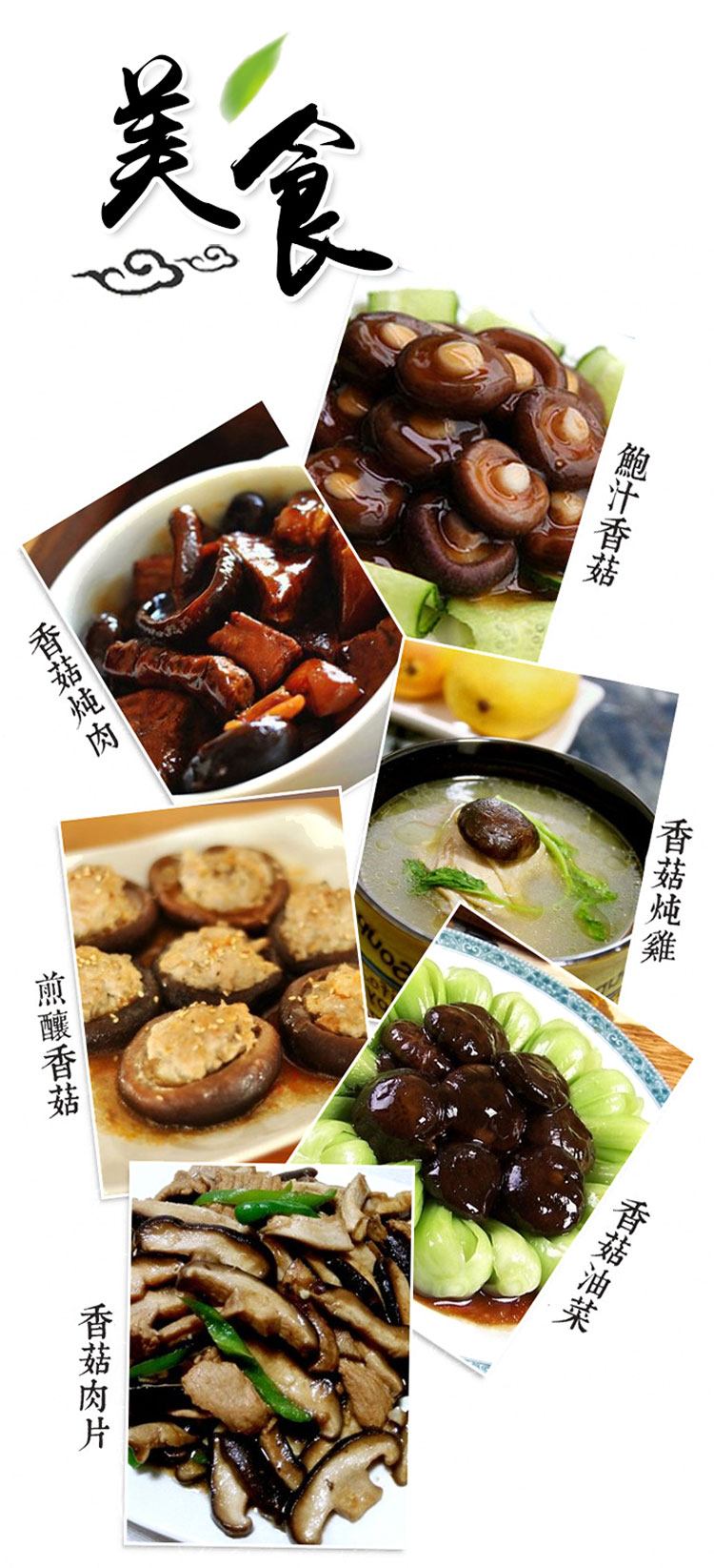 香菇-详情图05.jpg