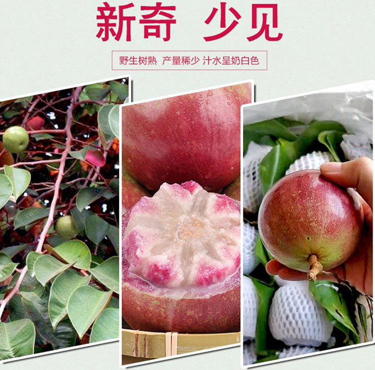 1545989301603086644.jpg 微信图片_20181228172418_副本.jpg