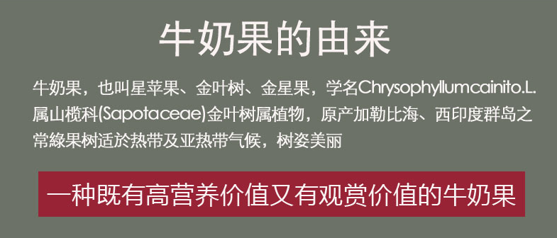1545989311560088333.jpg 微信图片_20181228172427.jpg