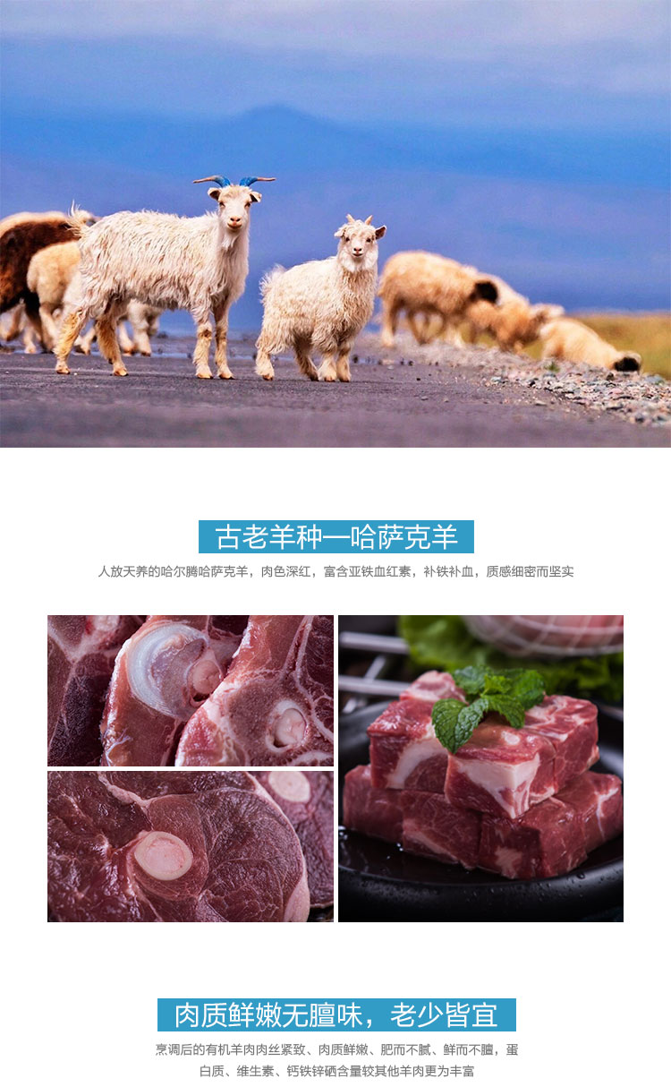 甄选6入装_02.jpg
