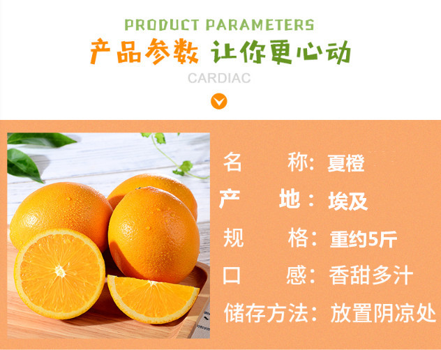 1550392109613051262_副本.jpg