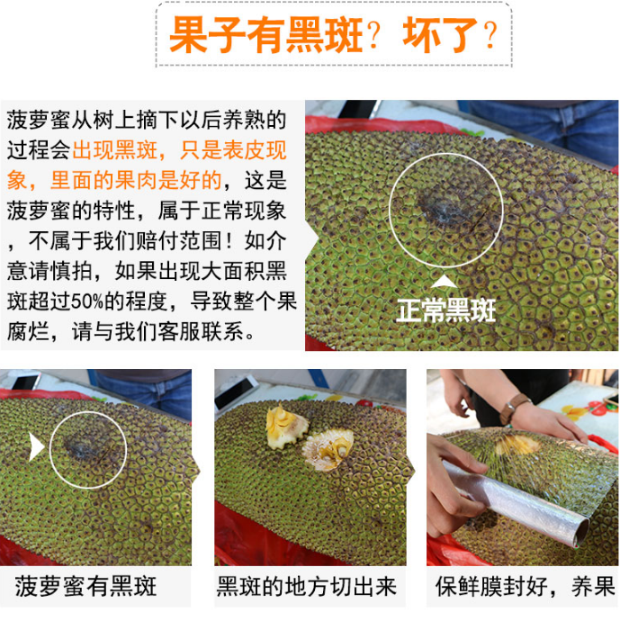1551930125083065361.png 菠萝蜜6.png