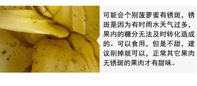 1551930181883048054.png 菠萝蜜7.png