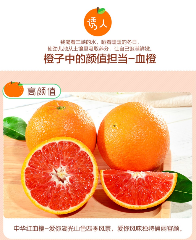 秭归红橙3.png