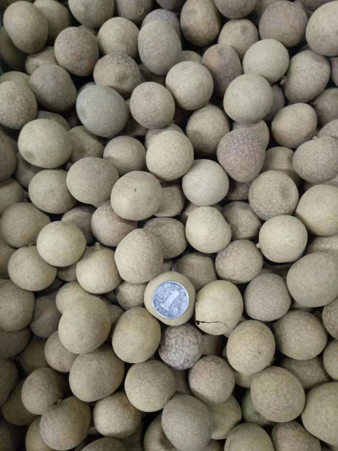 260a62a11bdd48e0934eb4997efecc2.jpg