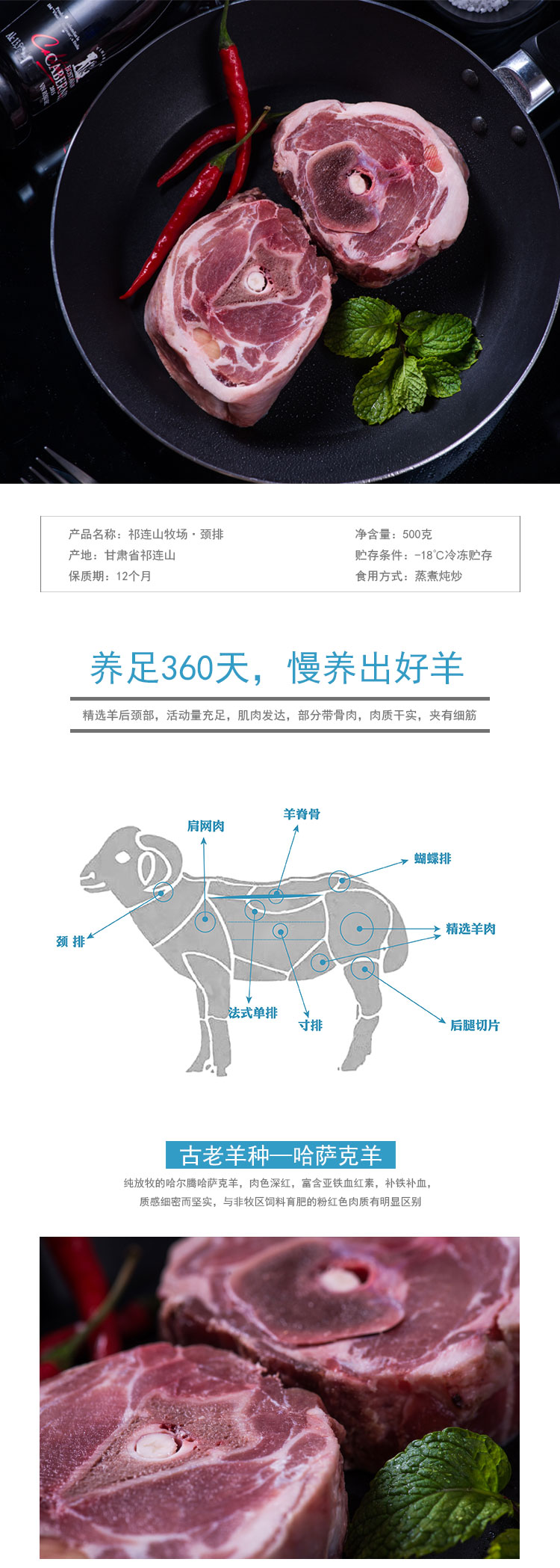 颈排_01.jpg