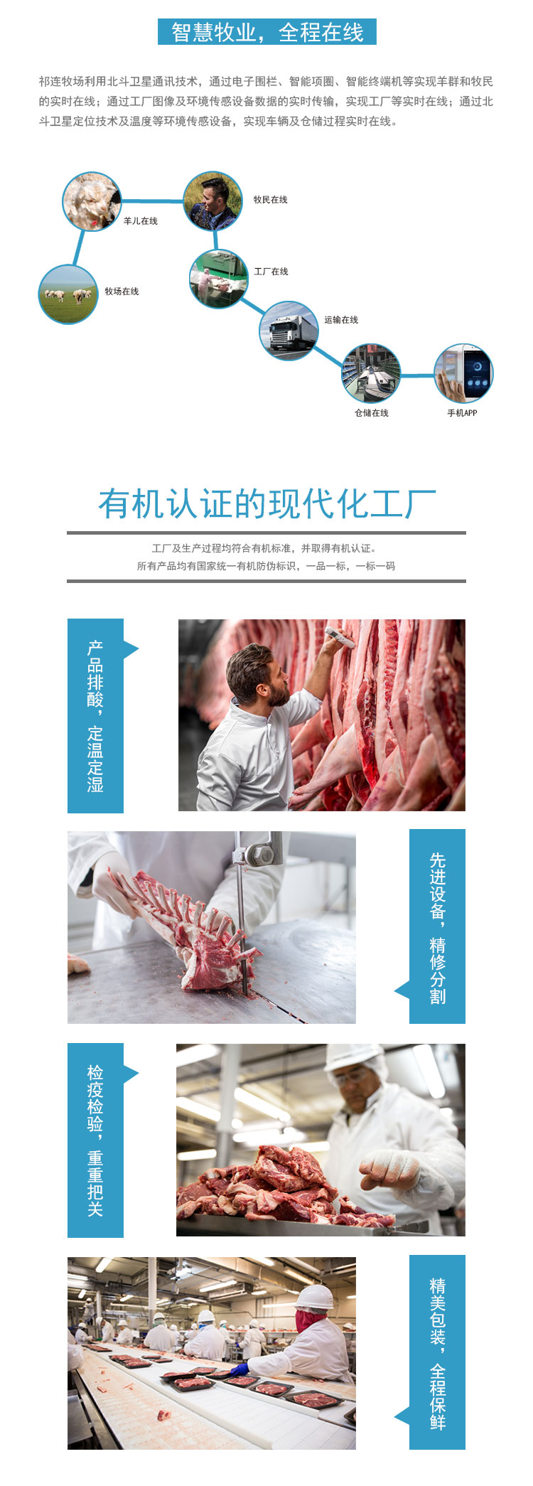 肩网肉_06.jpg