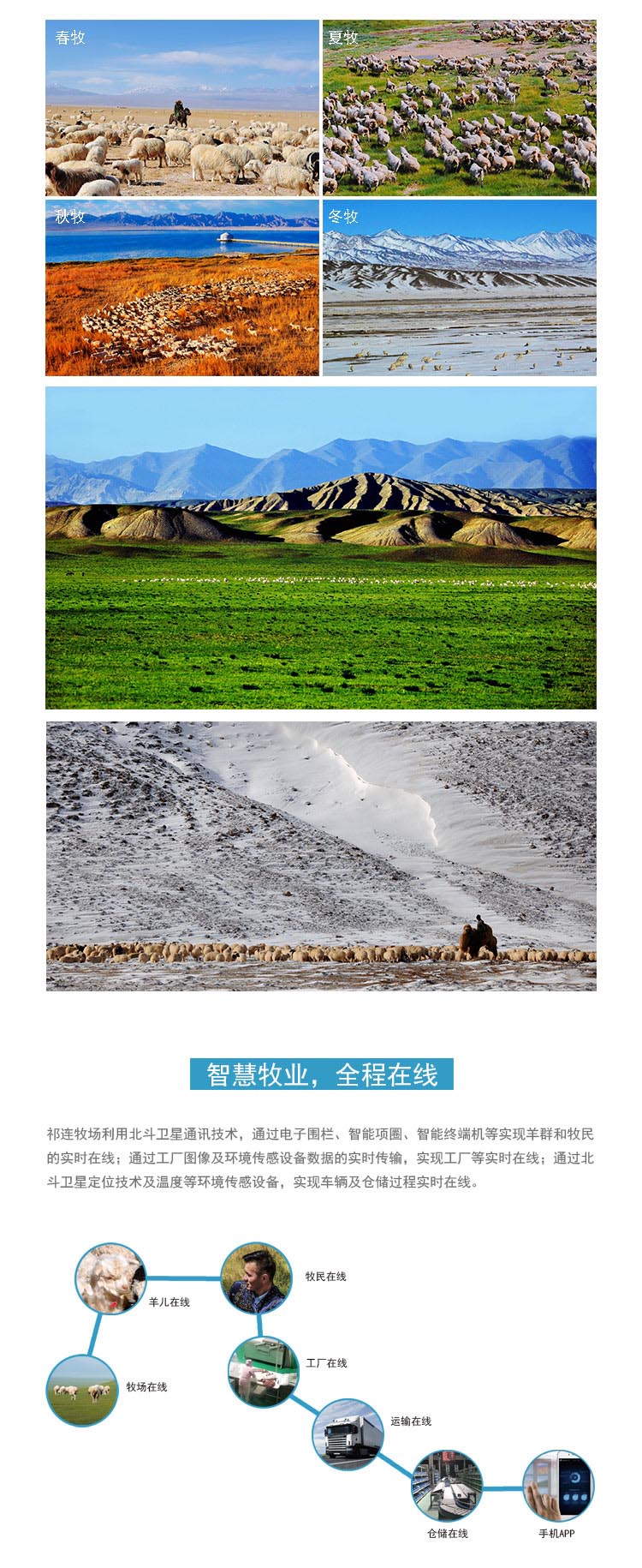 蝴蝶排详情页2_04.jpg