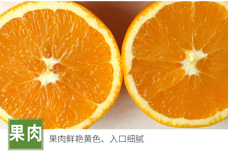 O1CN01h2J5Wh1NJU3KStdch_!!2627871549.jpg